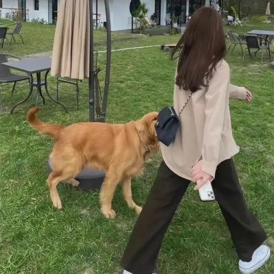 我的差评女友